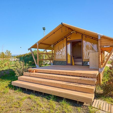 Delfino Tuscany Resort 切齐纳的码头 外观 照片